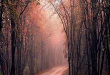 壹号娱乐官网：汇丰女子高球赛 我国两女将打出三日来最佳表现.