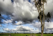 壹号娱乐官网：王治郅NBA名场面！命中三分+梦幻脚步让鲨鱼韦德抱拳致敬！.