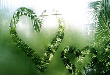 壹号娱乐官网：记者：库巴西伤势不严重，周三将和团队训练，看看情况如何.